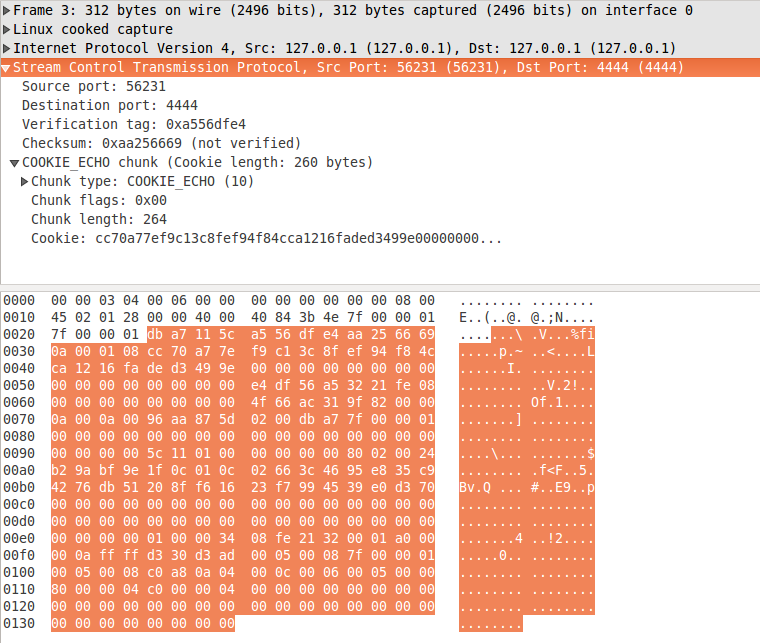 figure 4: COOKIE ECHO chunk