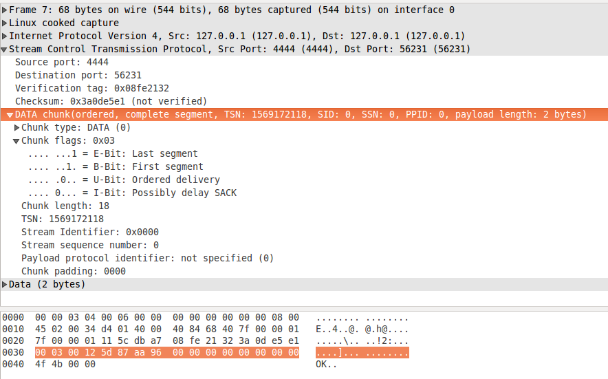 figure 1: DATA chunk