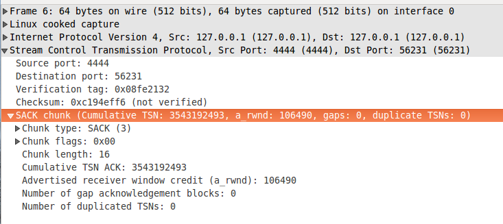 figure 2: DATA chunk